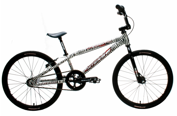 expert xl zebra